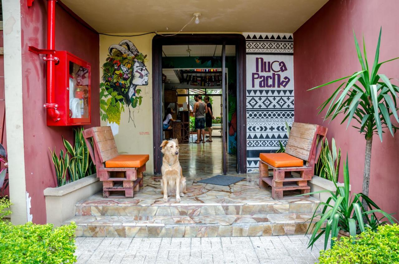 Hostel Nucapacha جواياكيل المظهر الخارجي الصورة